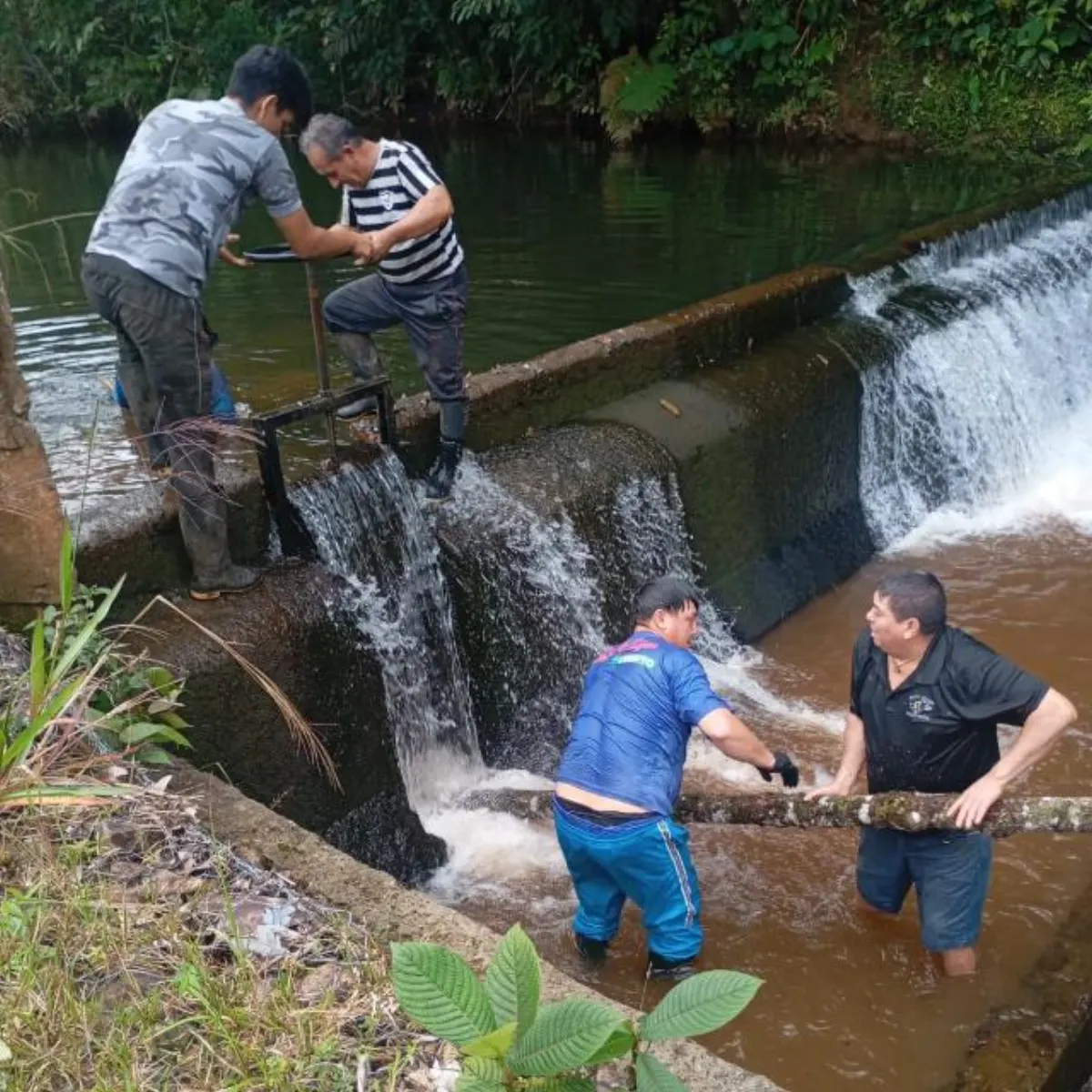 Socios de la junta trabajando en la toma de agua sobre el río Sandalias